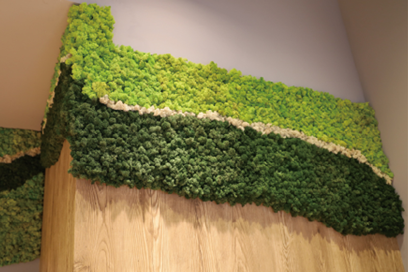 施工事例 – ノルディックモス