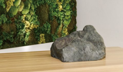 ノルディックモス – 大自然で生まれた神秘的なNordic Moss