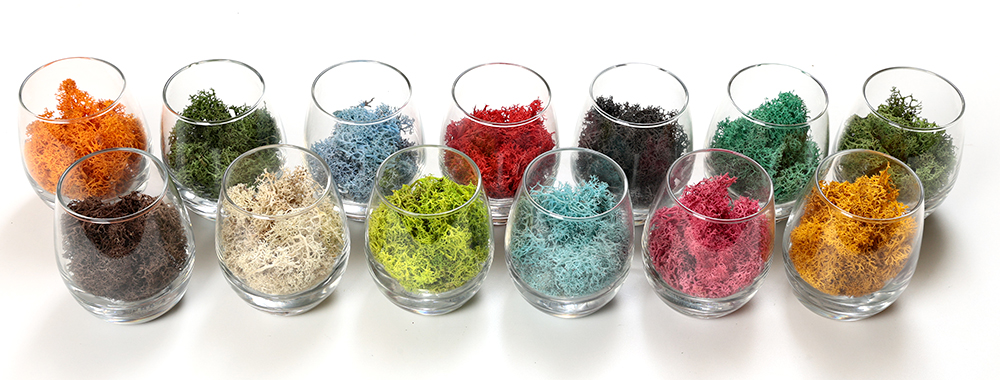 ノルディックモス「カラーバリエーション」